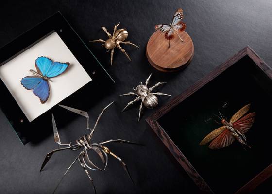Entomología Mecánica – Cuatro Visiones Artísticas en la M.A.D. Gallery 
