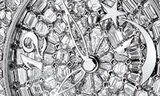 CAT'S EYE HAUTE JOAILLERIE de Girard-Perregaux