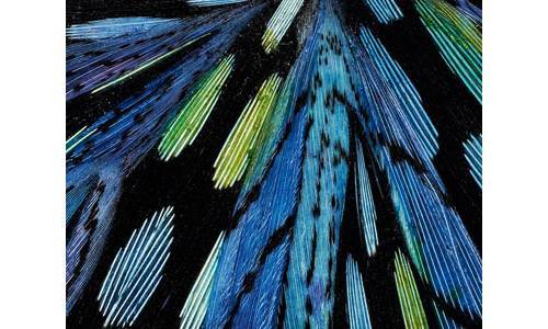 ARTES & OFICIOS - GALERÍAS