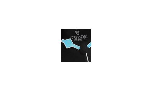 El nuevo Pelagos de Tudor
