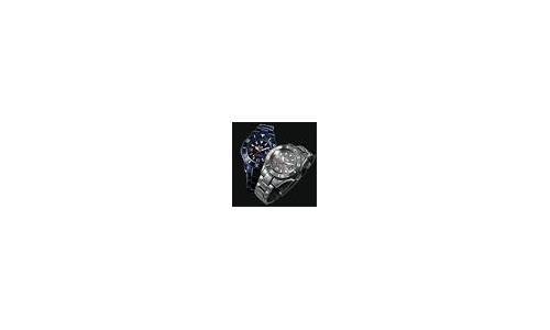 El surgimiento y auge de Ice-Watch