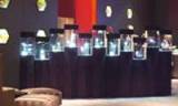 SIHH 2009: Mucho para elegir, poco para gastar