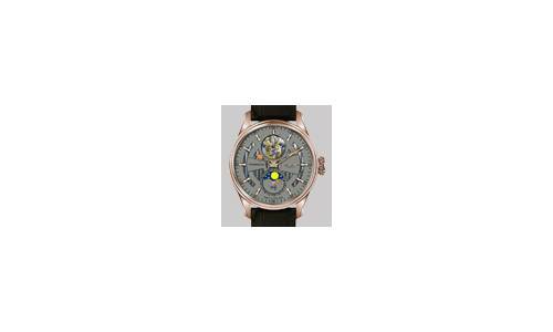 El T1 Tourbillon de David Van Heim