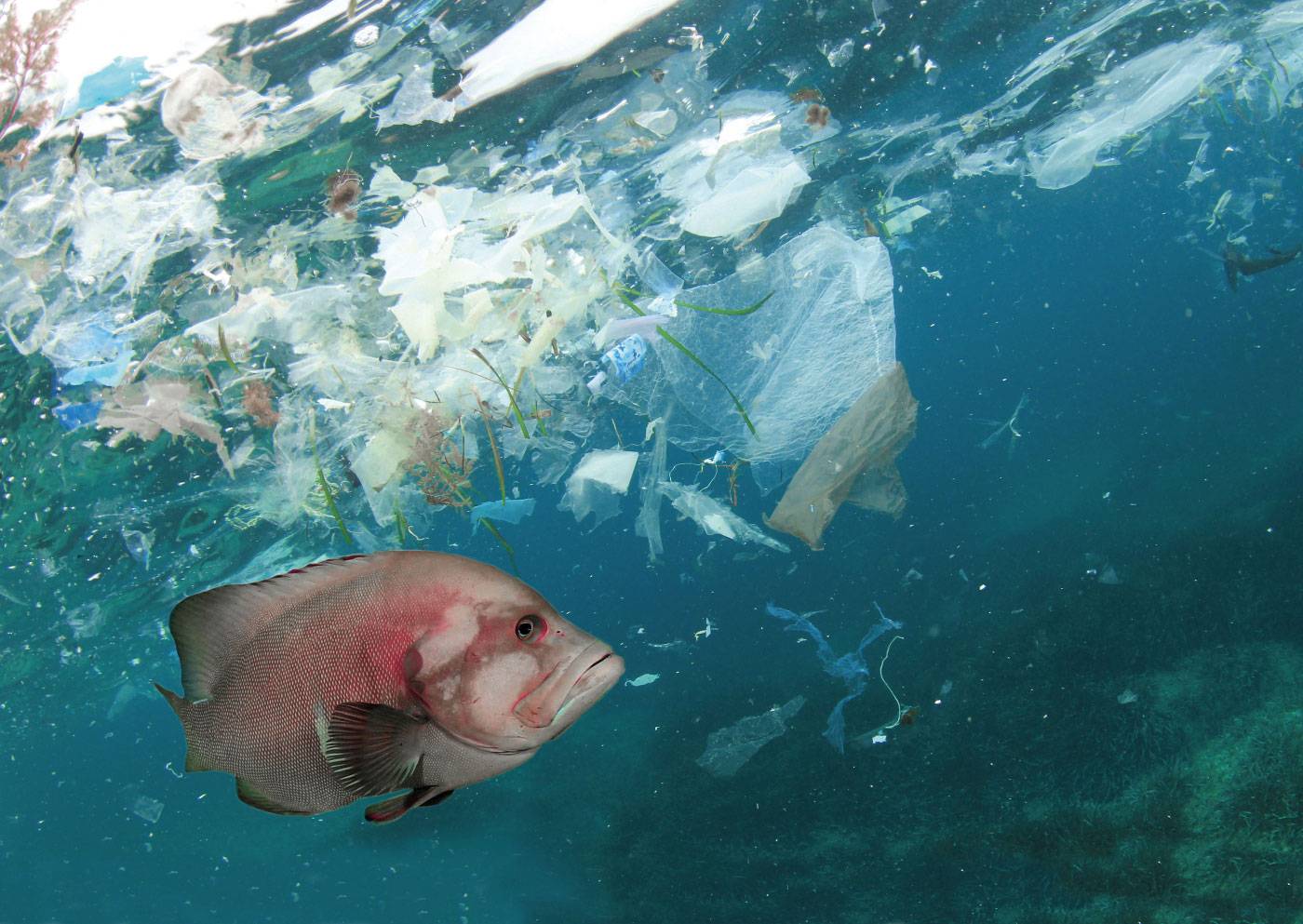 Ulysse Nardin: reciclando redes de pesca, de los océanos a la muñeca