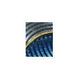 PERSPECTIVES D'ART “FISH” de Vacheron Constantin