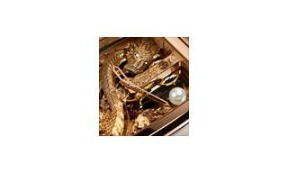 Corum Presenta el Golden Bridge Dragon 