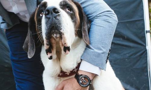 Un nuevo reloj de Bomberg de inspiración canina