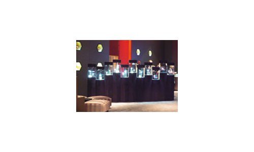 SIHH 2009: Mucho para elegir, poco para gastar