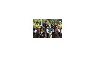 La DeWitt Polo Cup