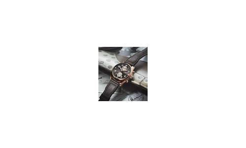 Antoine de Saint Exupéry Pilot´s Watch de IWC