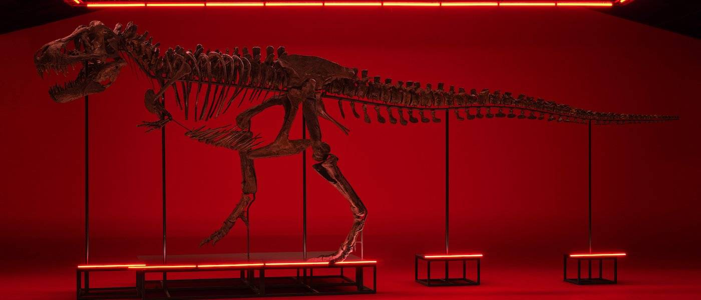 Fuera de este mundo: un Urwerk con fragmentos de T. rex