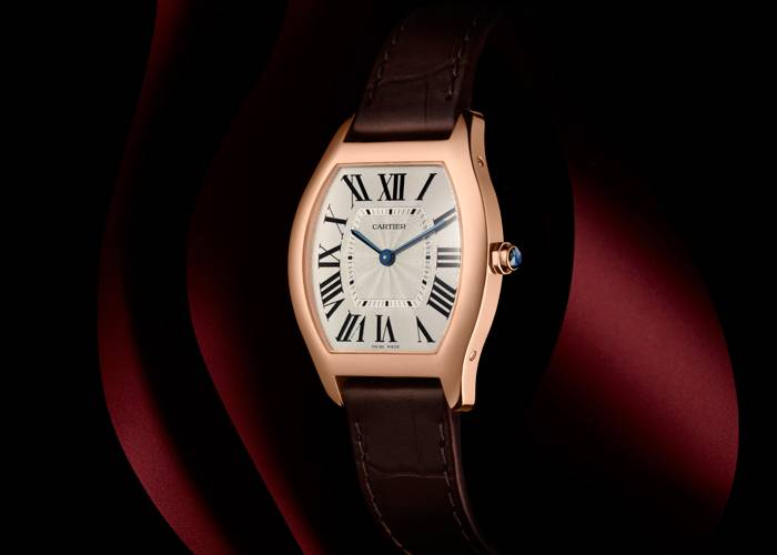 TORTUE DE CARTIER