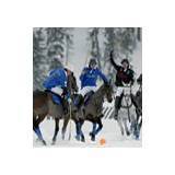  Cartier en la Copa Mundial de Polo sobre Nieve